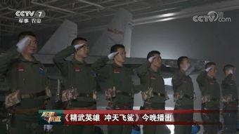 飞行员技能爆料视频播放,视频曝光背后的飞行奥秘  第2张